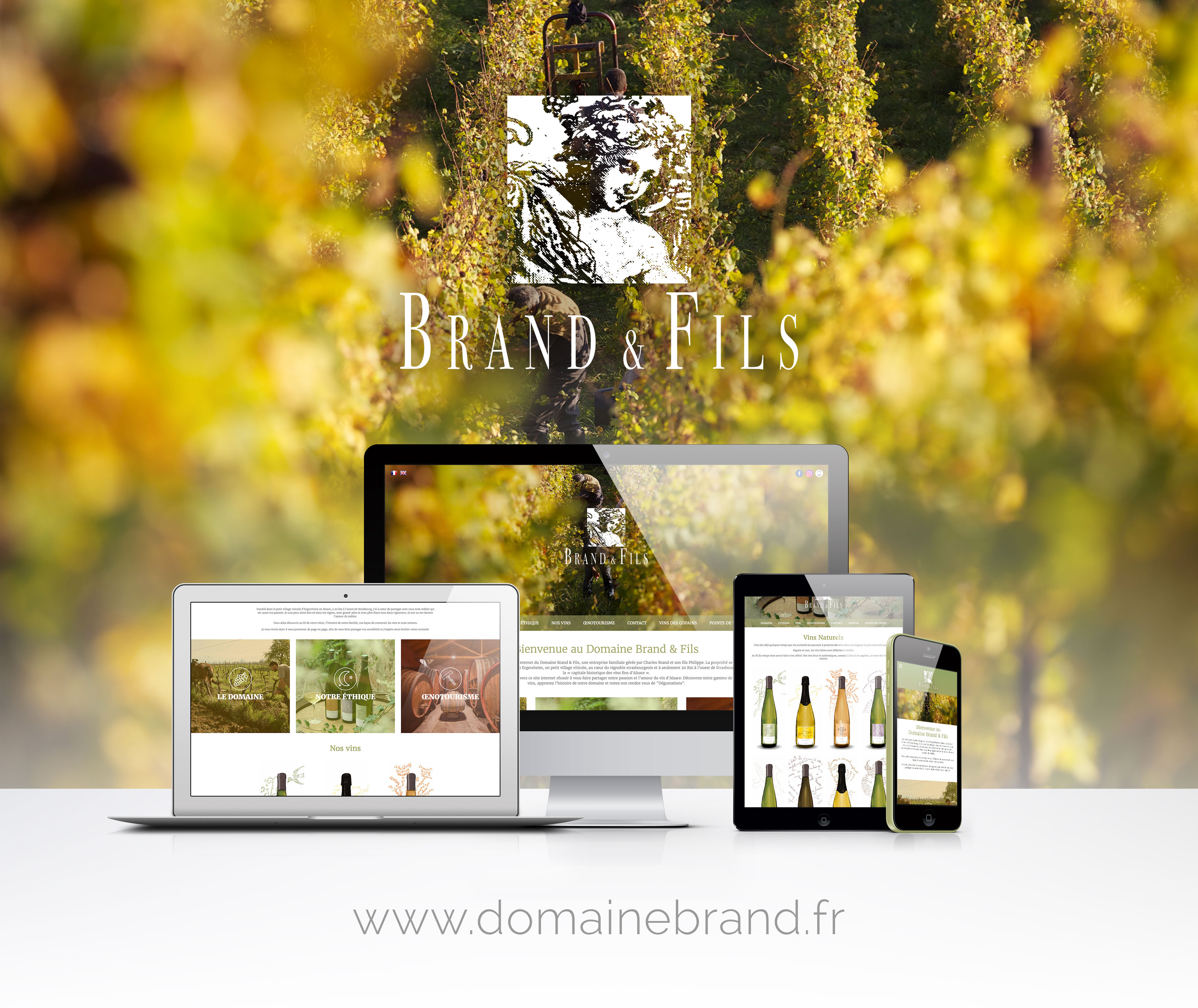 Réalisation IBS Visual - Domaine Brand & Fils - 1