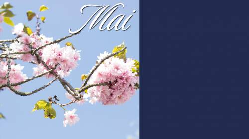 Actualité IBS - Journal du mois de mai 2022