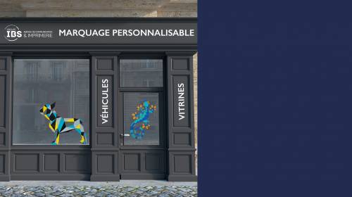 Actualité IBS - Marquage vitrines ou véhicules
