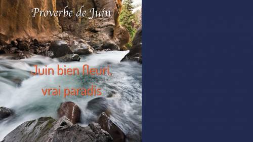 Actualité IBS - Journal du mois de juin