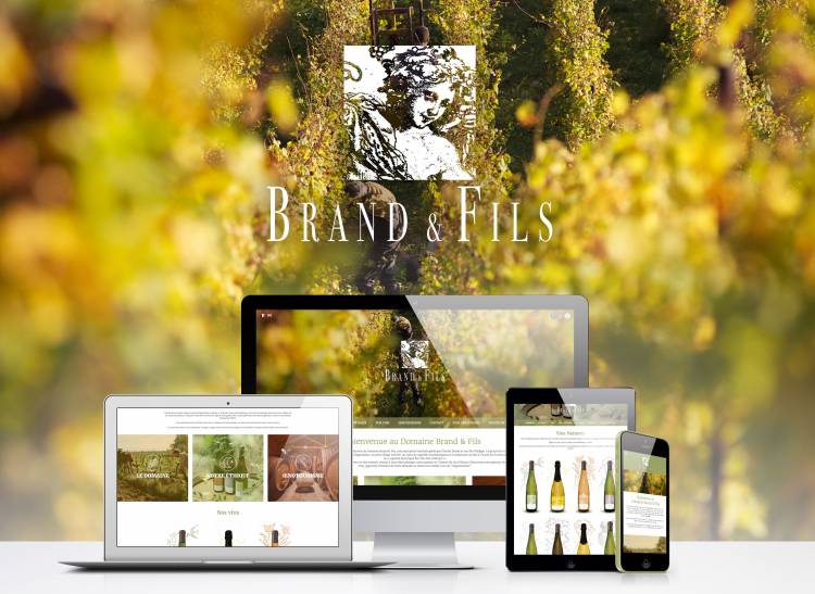 Création groupe IBS - Domaine Brand & Fils