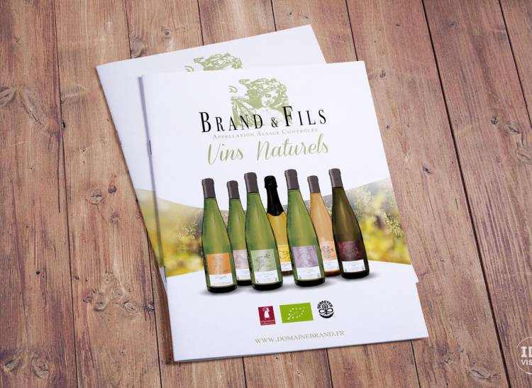 Création groupe IBS - Domaine Brand & Fils